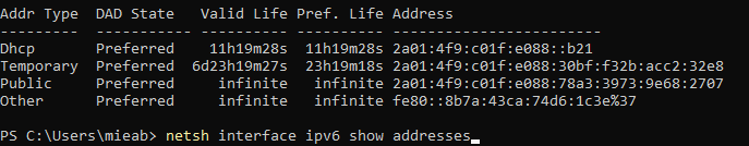 netsh interface ipv6 show addresses