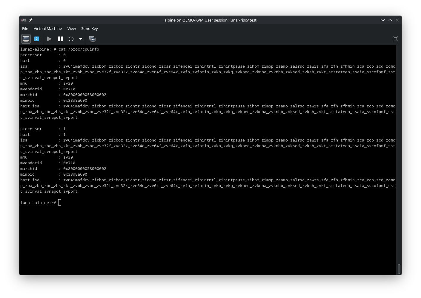 /proc/cpuinfo seen inside the Alpine Linux VM