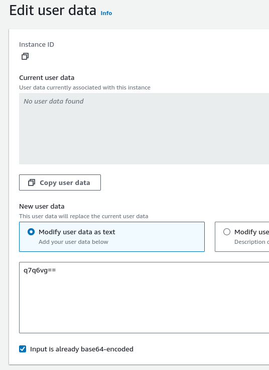 AWS Management Console EC2 "Edit user data" form